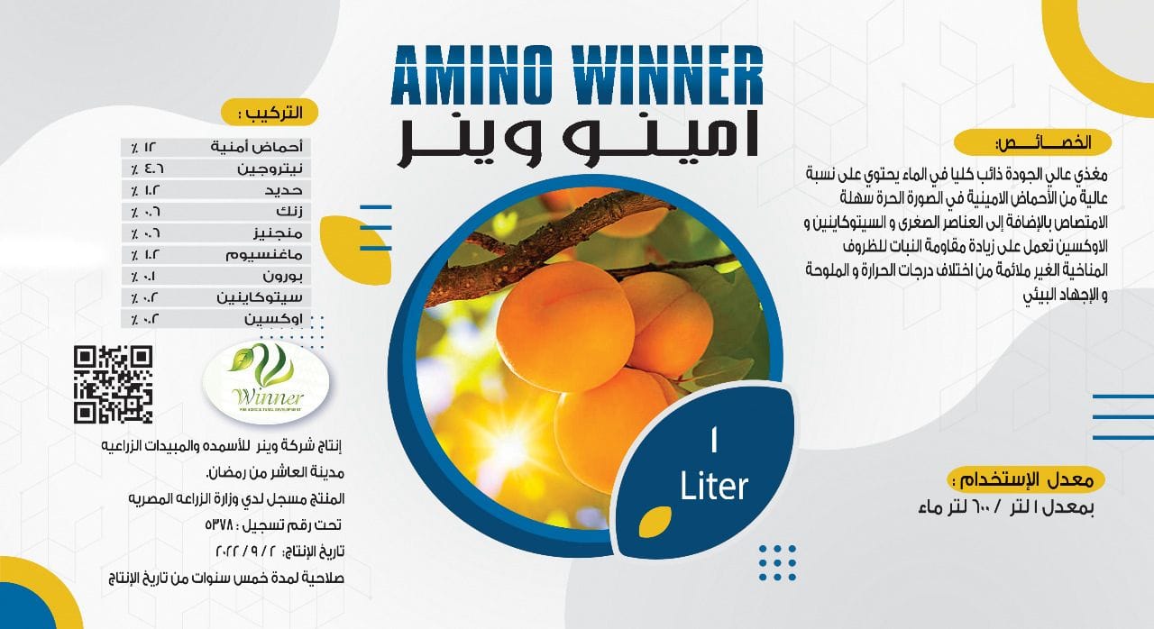 AMINO WINNER